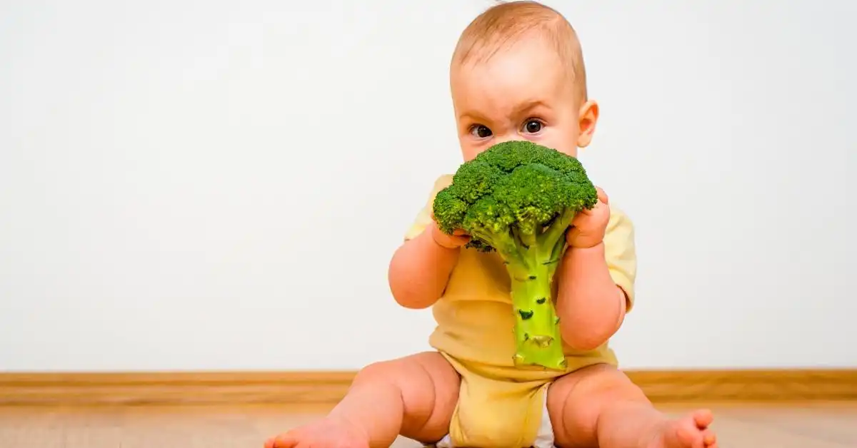 beba i receptori za ukus